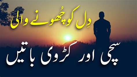 Heart Touching Hindi Quotes Urdu Quotes Sachi Baten Kadvi Baten