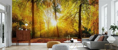 Gorgeous Forest In Autumn Décoration Murale De Grande Qualité Avec