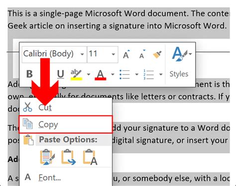 How To Copy And Paste In Word To A New Document Cellphonegawer