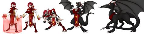 Wizard Dragon Transformation Commission By Tomek1000 On Deviantart