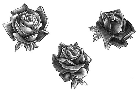 Small tattoos are great for just adding to your tattoo collection or for those who want subtler body art. Black Rose Tattoo Designs Ideas Photos Images ~ Women ...