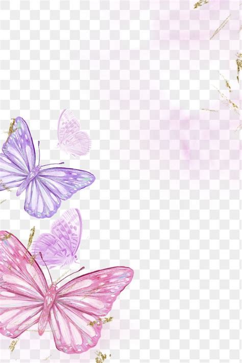 Butterfly Background Frame Background Butterfly Frame Purple