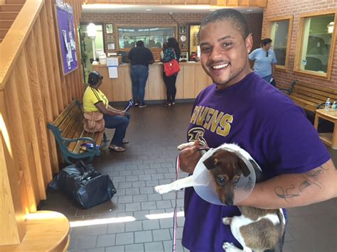 Pets for adoption by breed, age, location, size and sex. DC-area animal shelters waive pet adoption fees for the ...