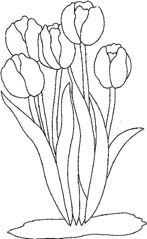 Auf der flucht vor dem stress des alltags entspannen sich immer mehr hobbykünstler mit dem kostenlose ausmalbilder zum ausdrucken. tulpen malvorlagen ausdrucken - MalVor