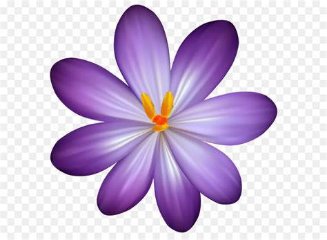 ดอกไม้ สีม่วง สี Png Png ดอกไม้ สีม่วง สี Icon Vector