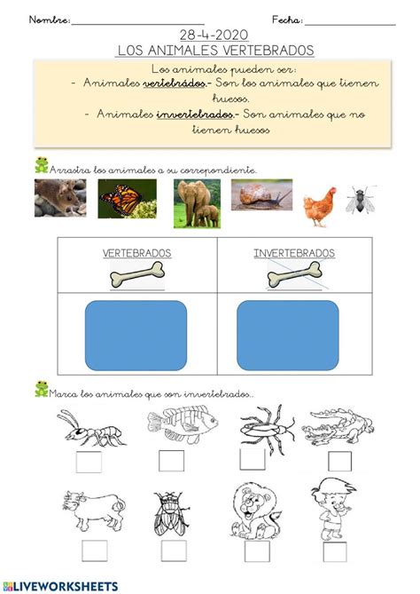 Ejercicios De Animales Vertebrados E Invertebrados Online O Para Imprimir