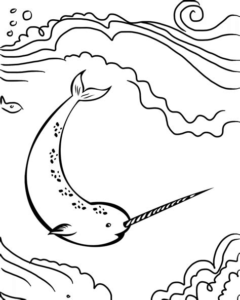 Download and print these orca coloring pages for free. Narwhal Coloring Pages - Best Coloring Pages For Kids