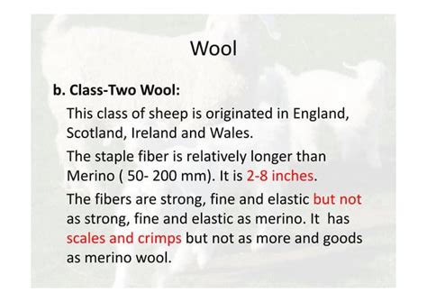 Wool Fiber Ppt