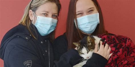 Missing Ontario Cat Was Found 10 Years Later And Reunited With Its Owners Narcity