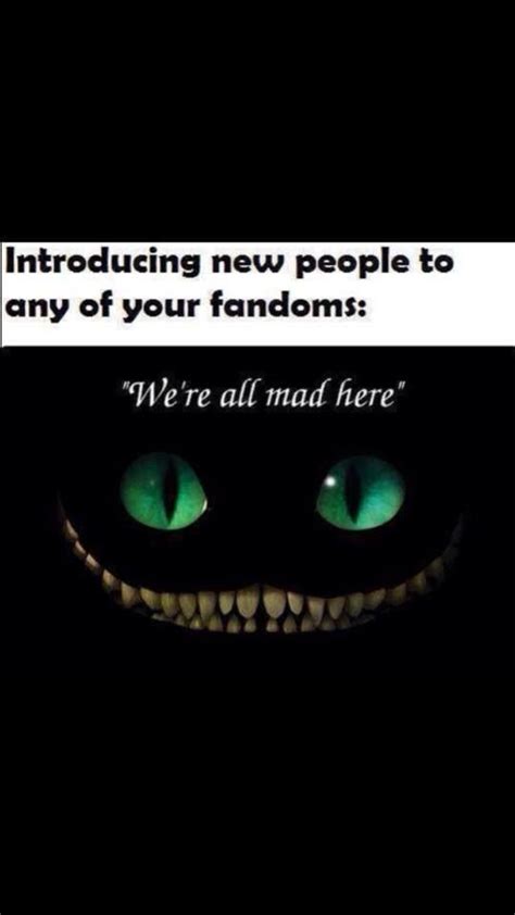 Things All Fangirls Can Relate To Fandoms Fangirl Book Fandoms