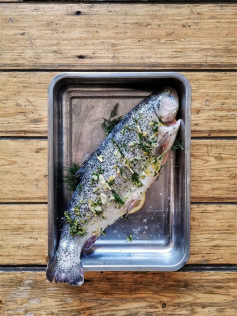 Lachsforelle frischer Fisch vom Grill