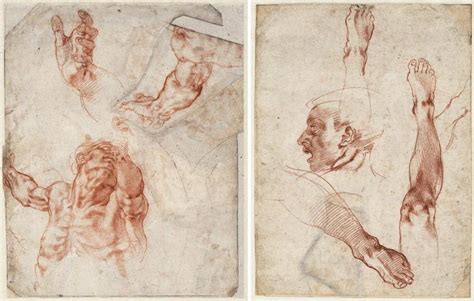 Aggregate Michelangelo Buonarroti Sketches Latest Seven Edu Vn