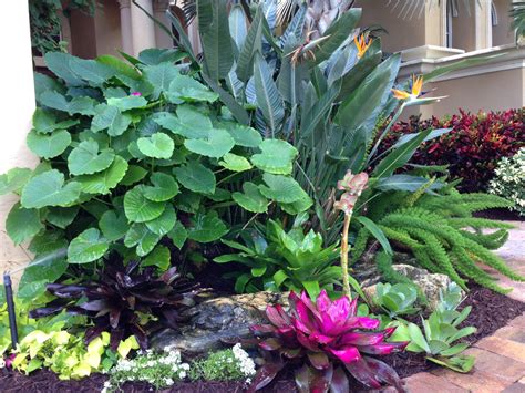 Tropical Plant Design Tropical Landscaping Tropical