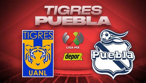 Tigres Vs Puebla En Vivo Por Afizzionados A Qué Hora Y Quién