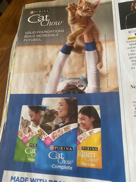 Borrowed Interest Magazine Ad 1 Cat Chow Purina Kitten