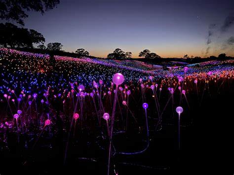 Field Of Light At Sensorio — An Led Light Experience By Bruce Munro