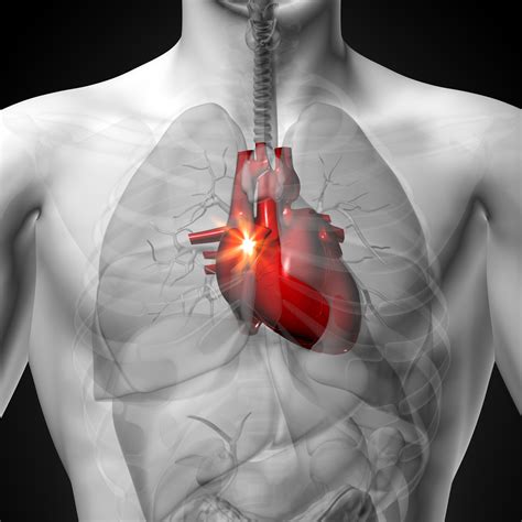 The 4 Heart Problem Symptoms You Shouldn’t Ignore University Health News