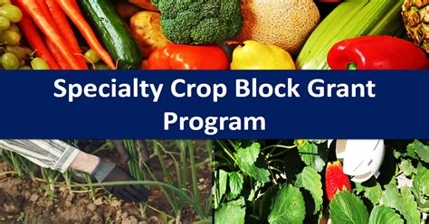 Specialty Crop Block Grant Program In Vermont 2023