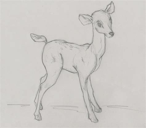 Details More Than 69 Deer Pencil Sketch Vn