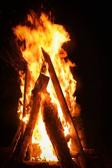 Bonfire Night Campfire Wood Burning Flame On Dark Black Stock Image