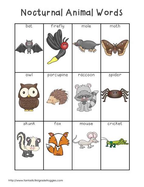 Writing Center Tools Nocturnal Animal Words Nocturnal Animals