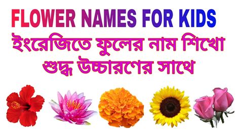 Add to my workbooks (36) download file pdf embed in my website or blog add to google classroom add to microsoft teams share through whatsapp FLOWERS NAME IN ENGLISH 🌻🌹 | Learn flowers name with ...