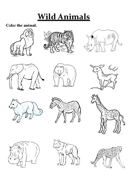 Colour The Biggest Animal First And Go On