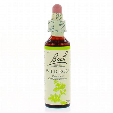 Très satisfaite les fleurs de bach m'ont. BACH Original n°37 Wild rose fleur de bach flacon compte ...
