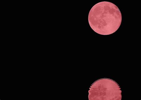 La puissante pleine lune rose du mois d'avril 2021 sera éprouvante pour tous les signes du zodiaque, mais quatre d'entre eux seront encore plus impactés par ses effets. Ces 4 signes du zodiaque ressentiront le plus l'intensité de la pleine lune rose d'avril 2020 ...