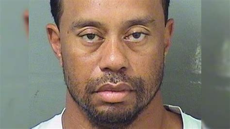 tiger woods arrested for driving under the influence in florida golfer blames prescription
