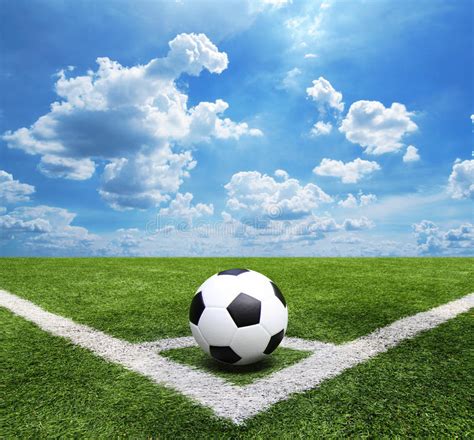 Grass lawn in a football field. Football And Soccer Field Grass Stadium Blue Sky ...