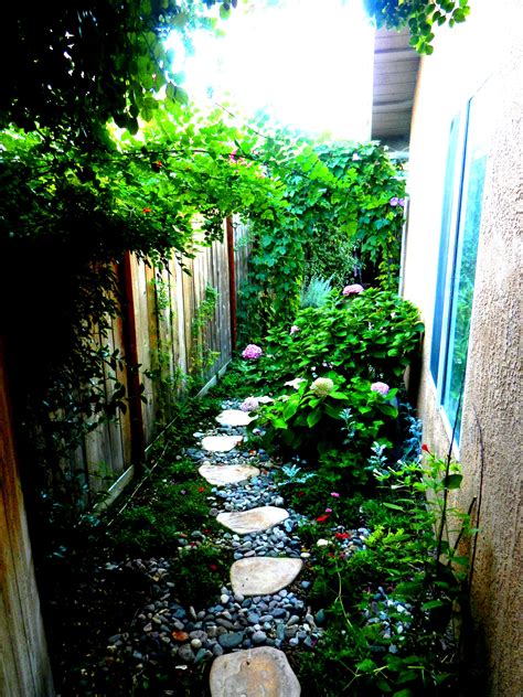 Narrow Side Yard Curved Path Rocks For Drainage High Summer Side