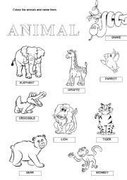 Cozy up to these cute critter worksheets for some educational fun. English worksheet: wild animals | Animals wild, Animals ...