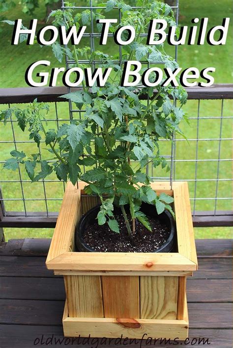 The Tomato Bucket Experiment An Attractive New Twist On Growing Patio