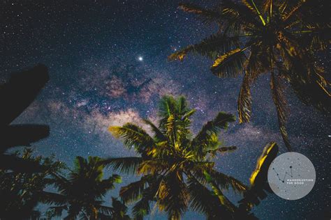 Milky Way Galaxy Above Palm Trees Photography Bali Island Etsy