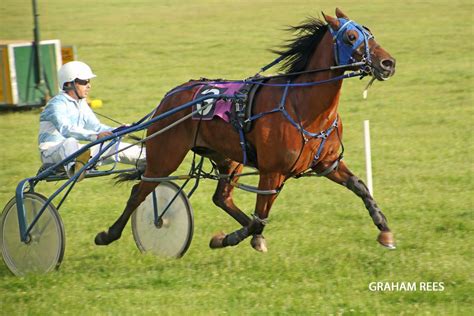 Wales And West Harness Racing Association