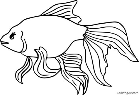 Betta fish are beautiful and elegant tropical fish typically kept as pets. Betta Coloring Pages - ColoringAll