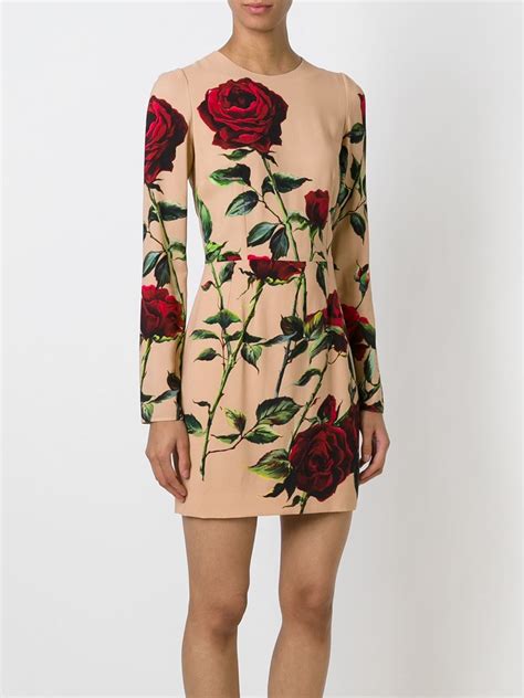 Lyst Dolce Gabbana Rose Print Dress
