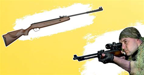 The Most Accurate Air Rifle At Yards For