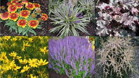 A Guide To Northeastern Gardening Best Long Blooming