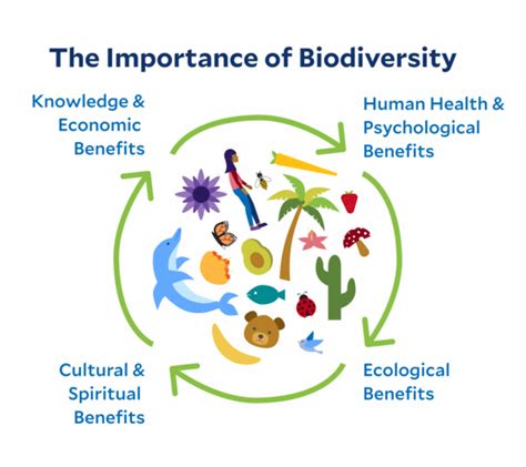 How Is Biodiversity Beneficial To Humans Blair Logue