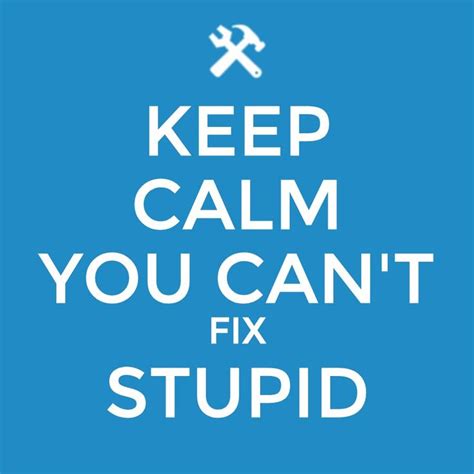 You can't fix stupid. — ron white. You Cant Fix Stupid Quotes. QuotesGram