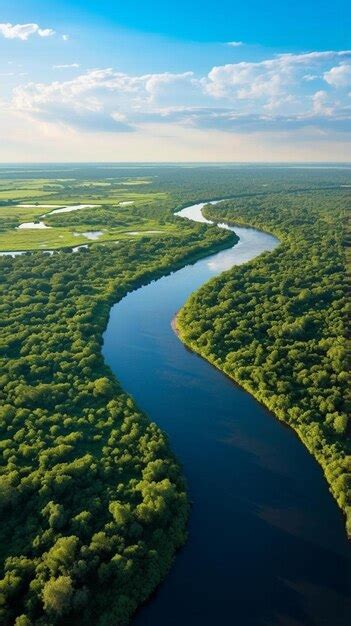 Premium Ai Image Aerial View Of River Meander In The Lush Green