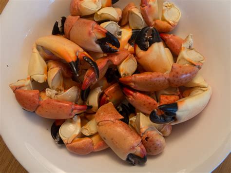 Sweet, succulent stone crab makes a luxurious appetizer and pairs wonderfully with this easy dipping sauce. Florida's 2017 Stone Crab Season Now Open-At Full Steam ...