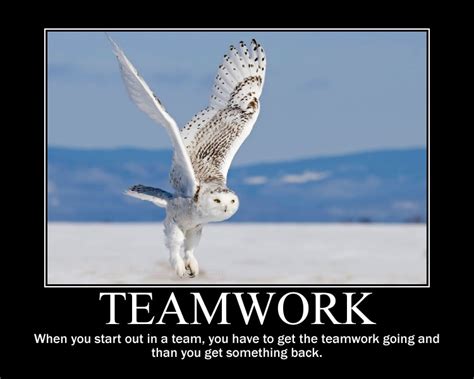Image Quetes 13 Teamwork Quotes