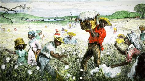 The Cotton Economy And Slavery The African Americans Many Rivers To