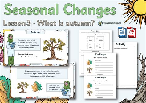 Year 1 Science Seasonal Changes What Is Autumn Lesson 3
