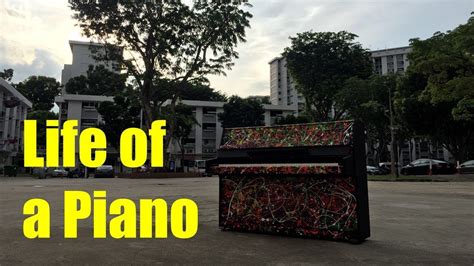 Kaki bukit is a free software application from the food & drink subcategory, part of the home & hobby category. Life of a Piano (A Community Art @ Kaki Bukit CC) - YouTube