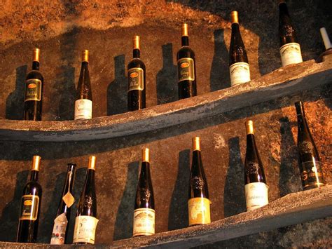 The oldest wine in the world from the cellars of Maribor ...