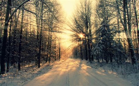 Dawn In The Woods Sunset Photography Nature Winter Wallpaper Sunset